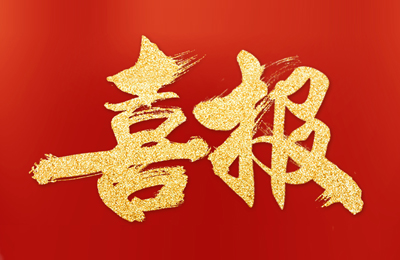 熱烈祝賀浙江(jiang)瑞(rui)儀工(gong)業新(xin)版網站成(cheng)功上線(xiàn)！
